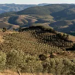 Acushla Original House Douro