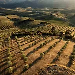 Acushla Original House Douro Σαλέ Lodões