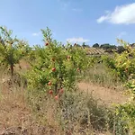 Σαλέ Acushla Original House Douro Lodões