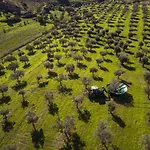 Acushla Original House Douro
