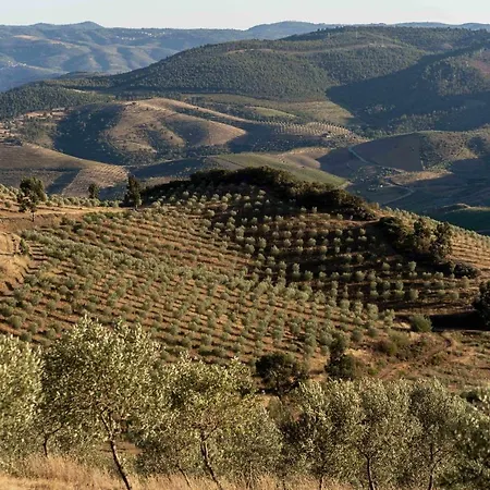 Acushla Original House Douro