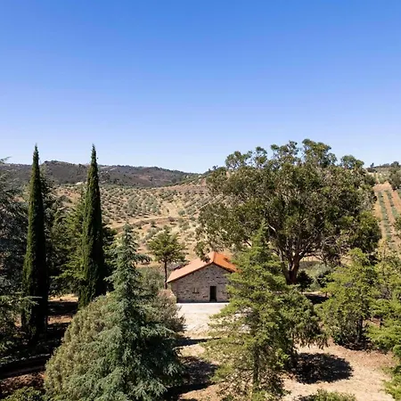 Acushla Original House Douro Chalet Lodoes