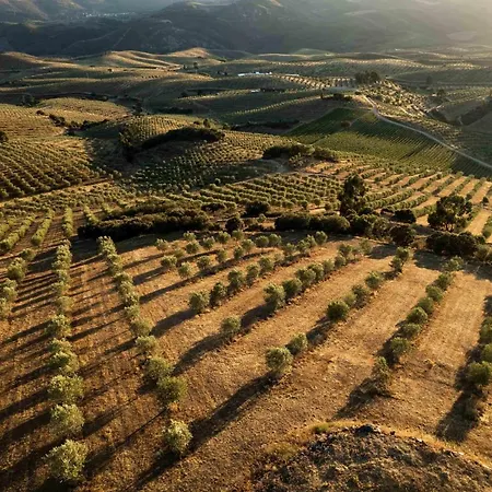 Acushla Original House Douro Σαλέ Lodões