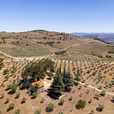 Chalet Acushla Original House Douro *