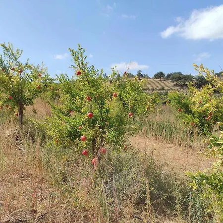 Alpehytte Acushla Original House Douro Lodões
