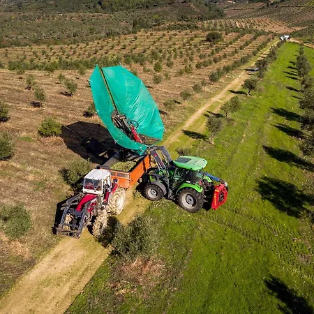Alpehytte Acushla Original House Douro *