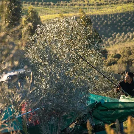 Σαλέ Acushla Original House Douro *