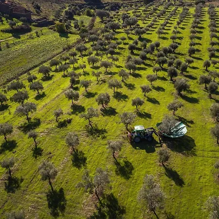 Acushla Original House Douro