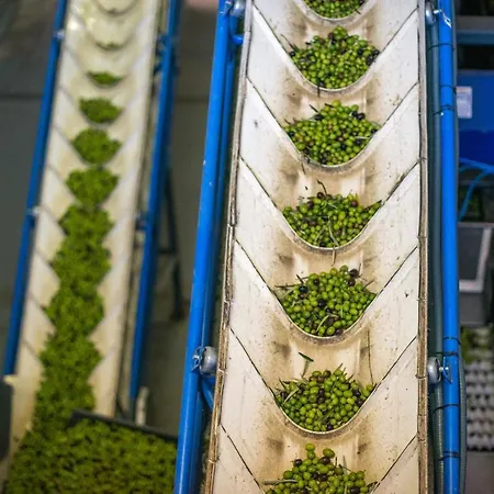 Acushla Original House Douro Σαλέ