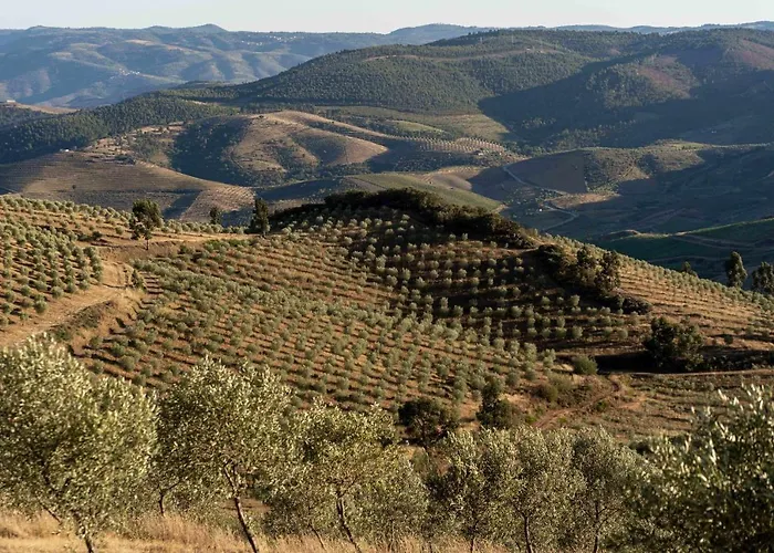 Acushla Original House Douro