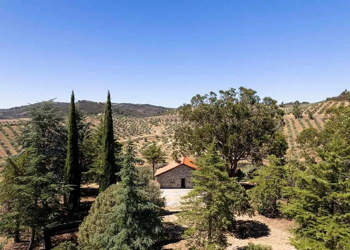 Acushla Original House Douro Chalet Lodoes