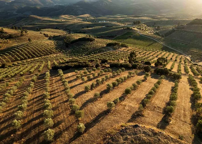 Acushla Original House Douro Chalet Lodoes