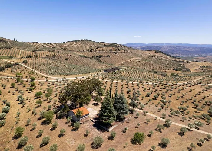 Chalet Acushla Original House Douro *