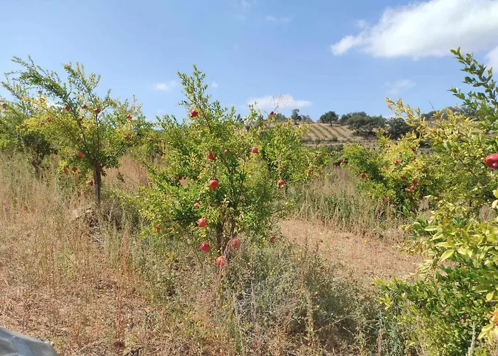 Chalet Acushla Original House Douro Lodões
