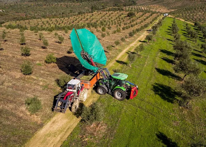 Chalet Acushla Original House Douro *