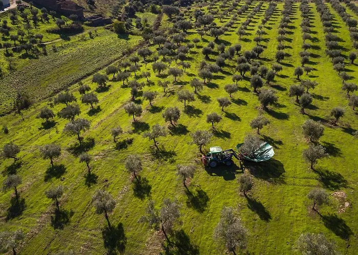 Acushla Original House Douro