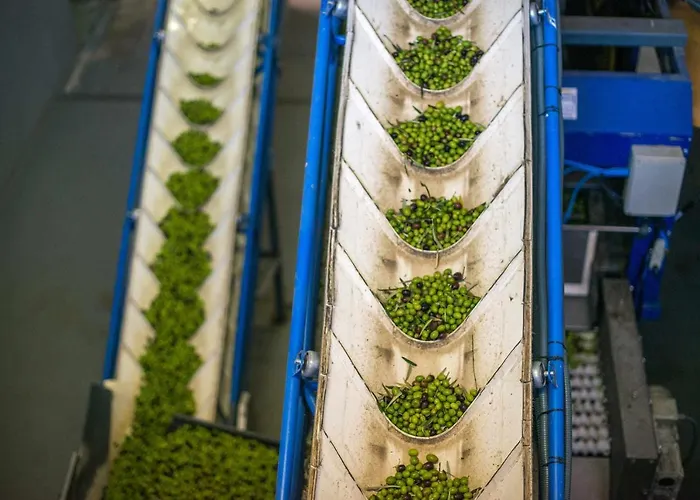 Acushla Original House Douro Chalet